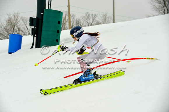 alpine-Jan20-2017-DSC_4010