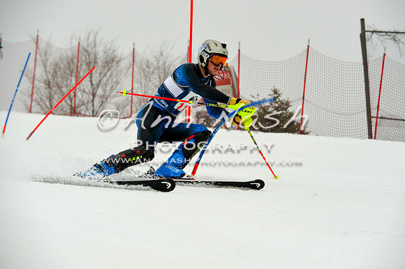 alpine-Jan20-2017-DSC_4013