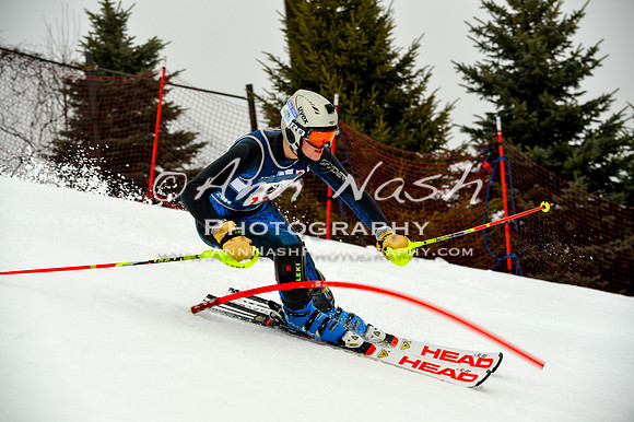 alpine-Jan20-2017-DSC_4015
