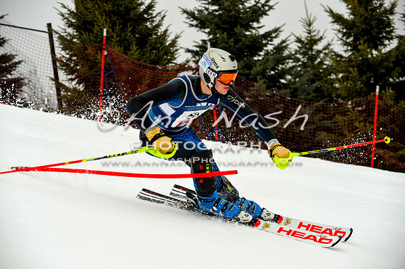 alpine-Jan20-2017-DSC_4016
