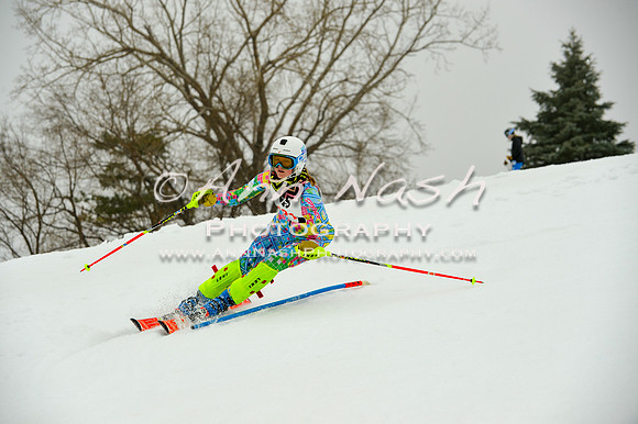 alpine-Jan20-2017-DSC_4034
