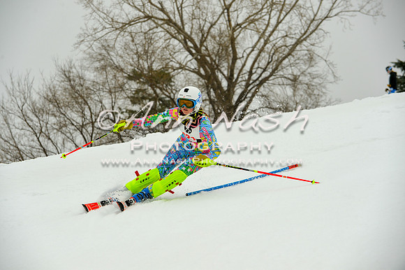 alpine-Jan20-2017-DSC_4035