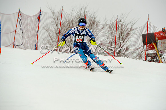 alpine-Jan20-2017-DSC_4040