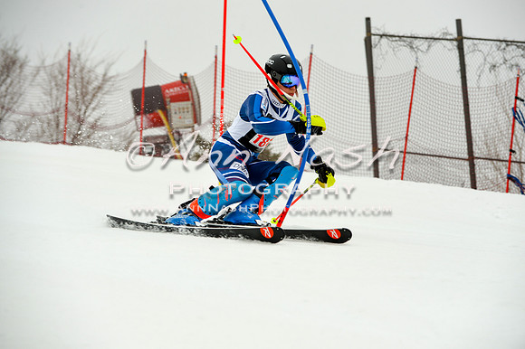alpine-Jan20-2017-DSC_4041