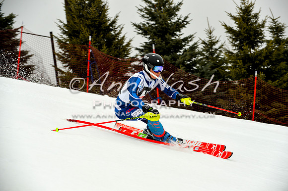 alpine-Jan20-2017-DSC_4043