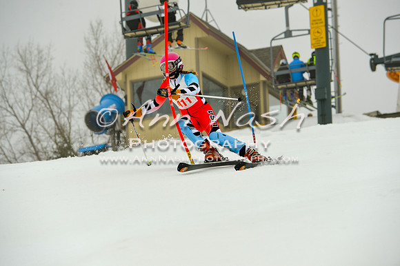 alpine-Jan20-2017-DSC_4047