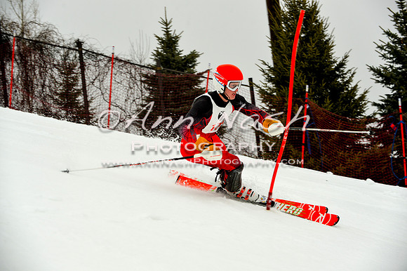 alpine-Jan20-2017-DSC_4062