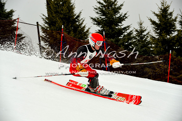 alpine-Jan20-2017-DSC_4063