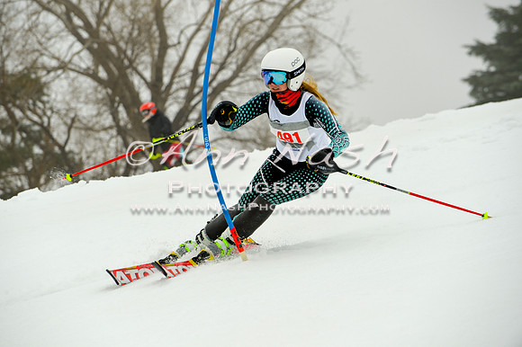 alpine-Jan20-2017-DSC_4073