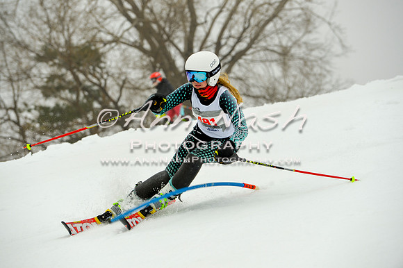 alpine-Jan20-2017-DSC_4074