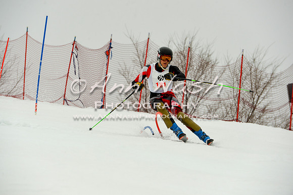 alpine-Jan20-2017-DSC_4077