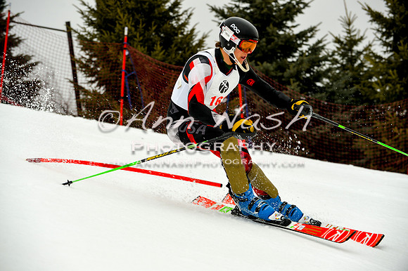 alpine-Jan20-2017-DSC_4083