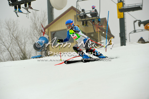 alpine-Jan20-2017-DSC_4091