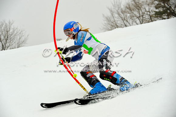 alpine-Jan20-2017-DSC_4094