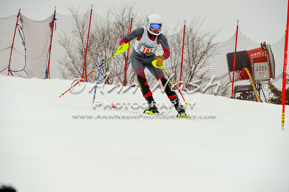 alpine-Jan20-2017-DSC_4097