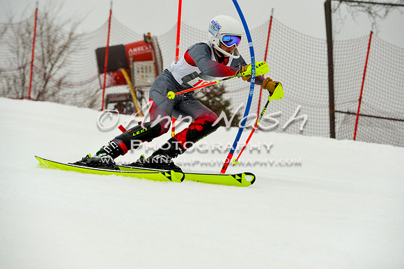 alpine-Jan20-2017-DSC_4098