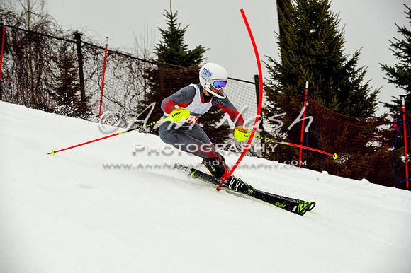 alpine-Jan20-2017-DSC_4100