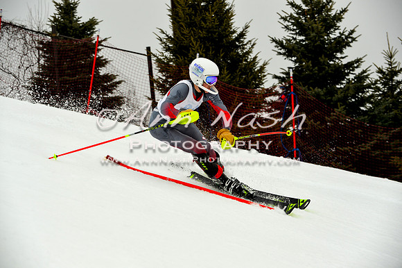 alpine-Jan20-2017-DSC_4101