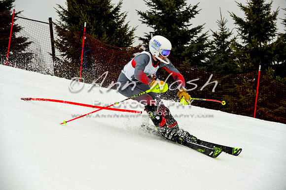 alpine-Jan20-2017-DSC_4102
