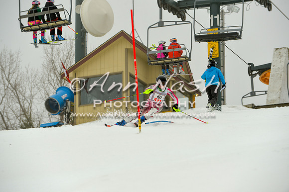 alpine-Jan20-2017-DSC_4104
