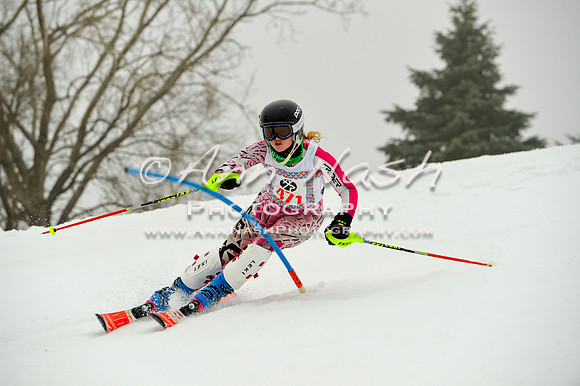 alpine-Jan20-2017-DSC_4107