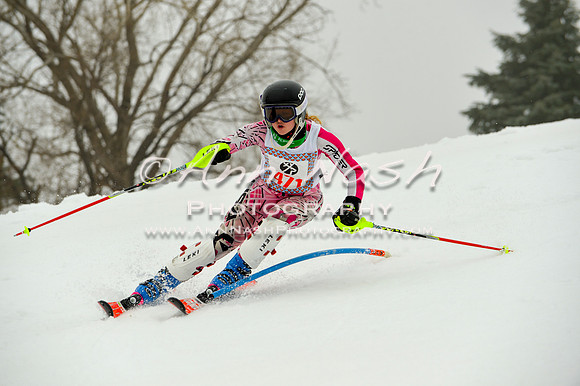alpine-Jan20-2017-DSC_4108
