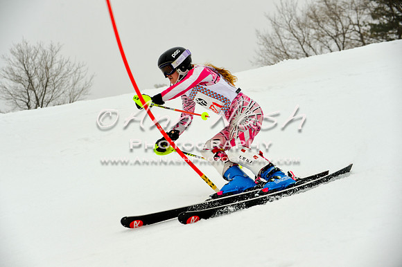 alpine-Jan20-2017-DSC_4109