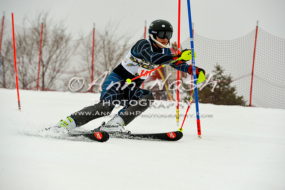 alpine-Jan20-2017-DSC_4117