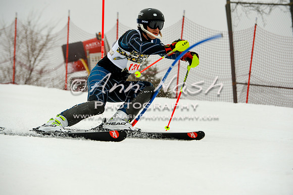 alpine-Jan20-2017-DSC_4118