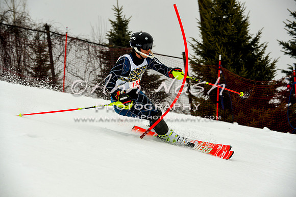 alpine-Jan20-2017-DSC_4119