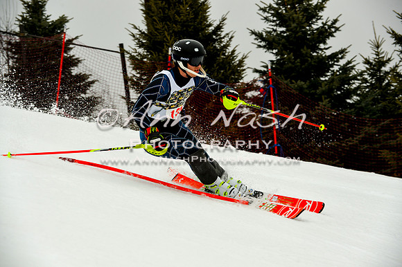 alpine-Jan20-2017-DSC_4120