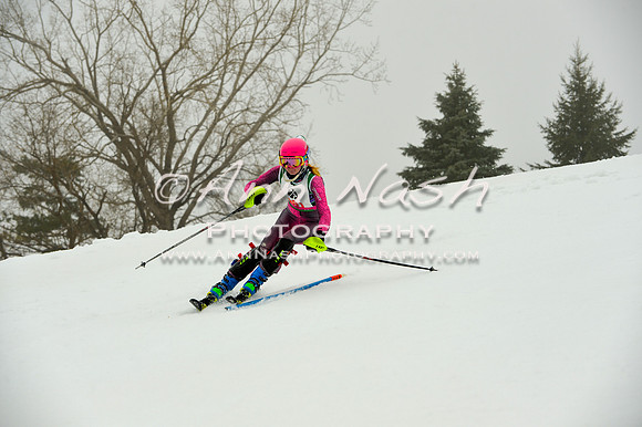 alpine-Jan20-2017-DSC_4132