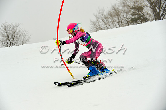 alpine-Jan20-2017-DSC_4135