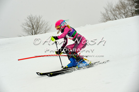 alpine-Jan20-2017-DSC_4136
