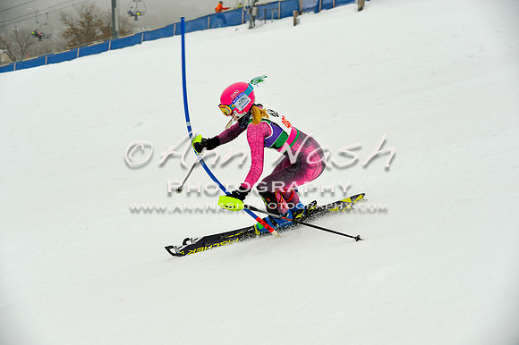 alpine-Jan20-2017-DSC_4137