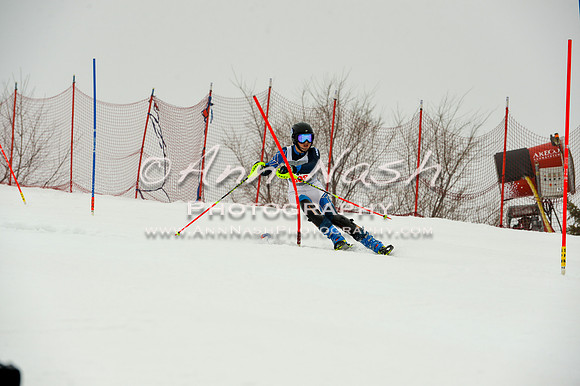 alpine-Jan20-2017-DSC_4140