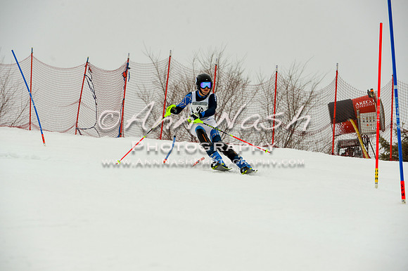 alpine-Jan20-2017-DSC_4141