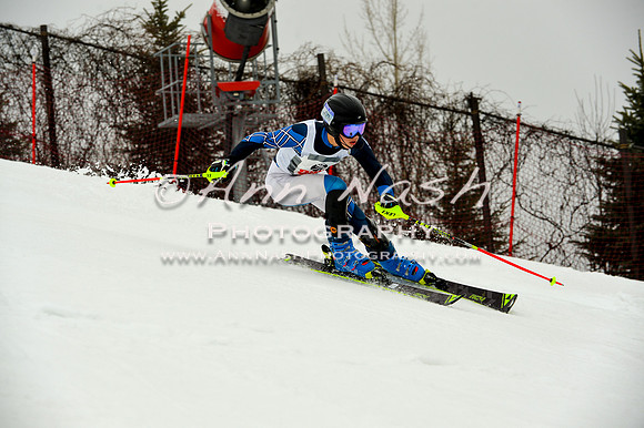 alpine-Jan20-2017-DSC_4146