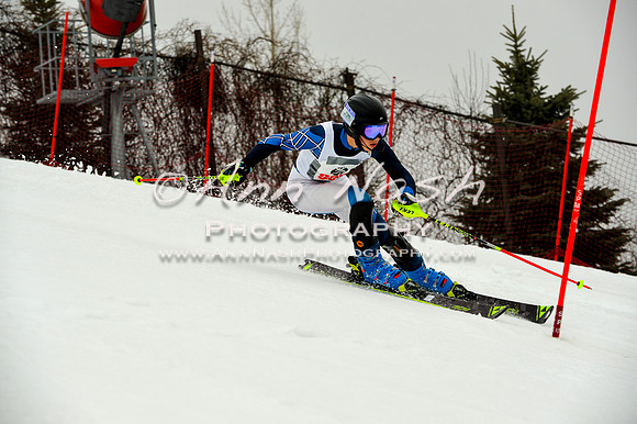 alpine-Jan20-2017-DSC_4147
