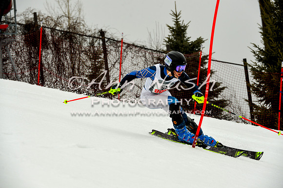 alpine-Jan20-2017-DSC_4148