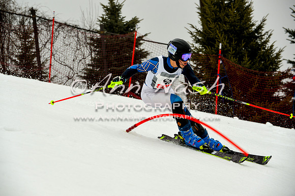 alpine-Jan20-2017-DSC_4149