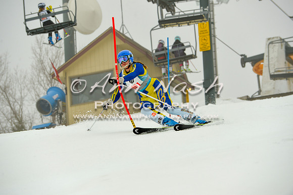 alpine-Jan20-2017-DSC_4153