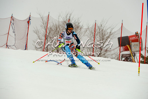 alpine-Jan20-2017-DSC_4158