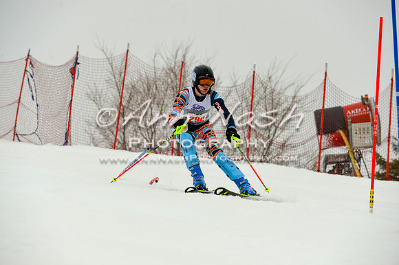alpine-Jan20-2017-DSC_4159