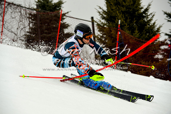 alpine-Jan20-2017-DSC_4163