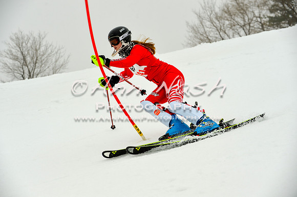 alpine-Jan20-2017-DSC_4169