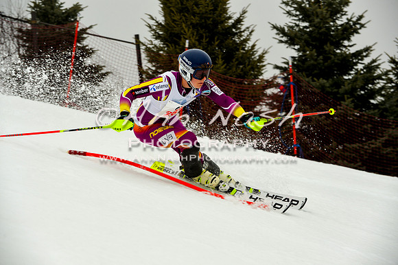 alpine-Jan20-2017-DSC_4177