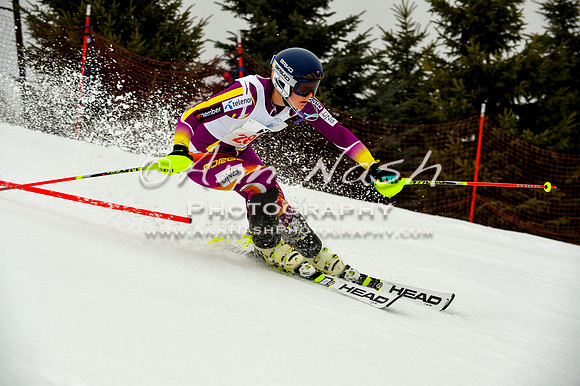 alpine-Jan20-2017-DSC_4178
