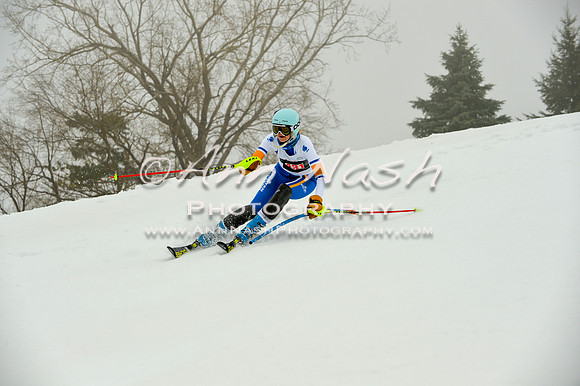alpine-Jan20-2017-DSC_4183