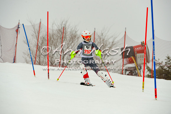 alpine-Jan20-2017-DSC_4187